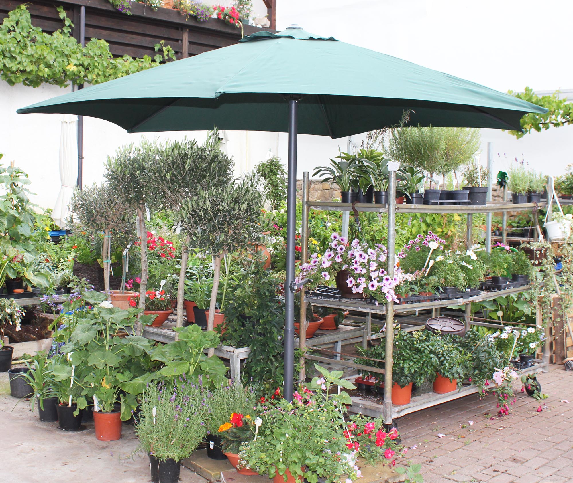 Sonnenschirm Marktschirm Gartenschirm ø 3m mit Kurbel ...