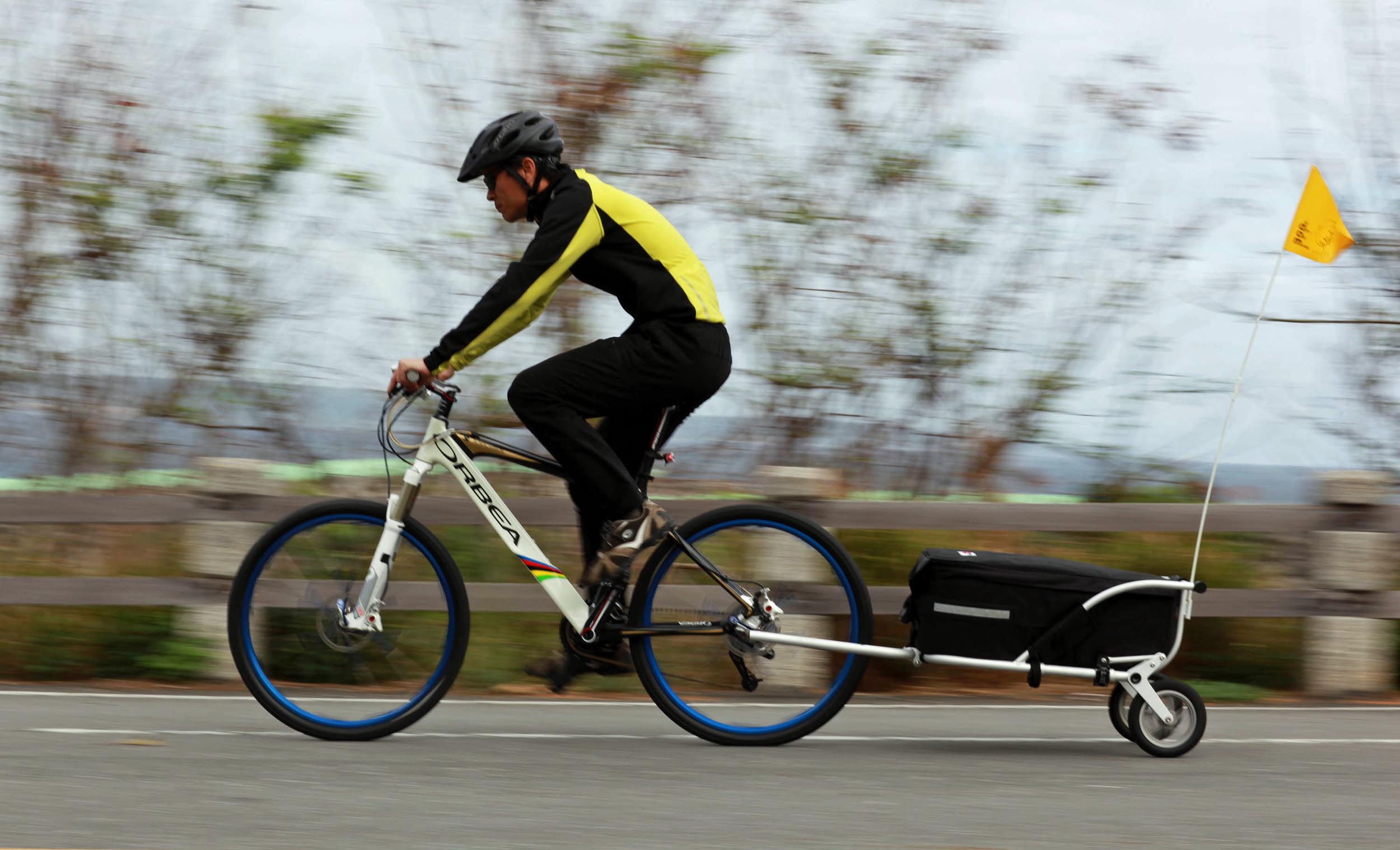 bike trolley for sale